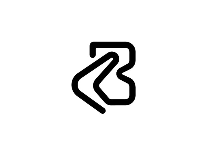 Boomerang Tag