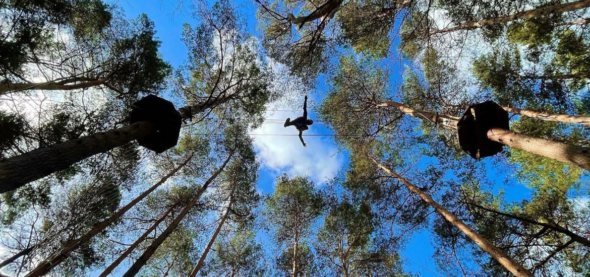 Go Ape